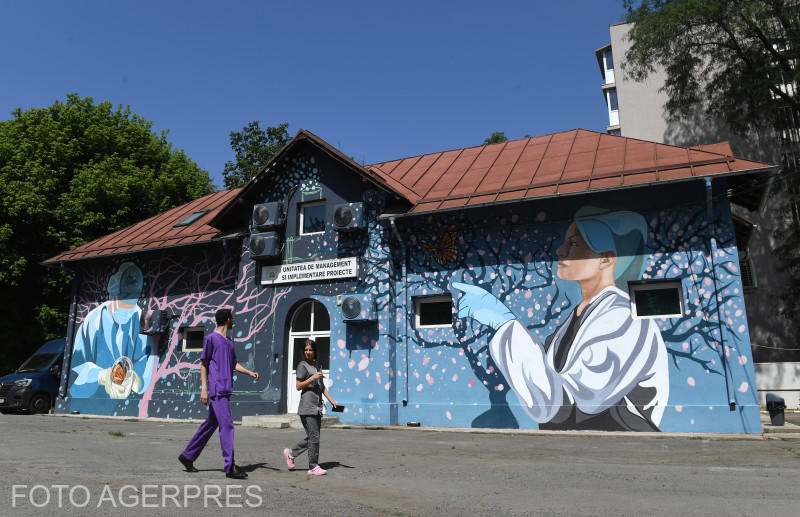 Pictură murală la Institutul Marius Nasta, Foto: AGERPRES